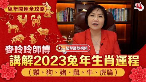 屬虎 2023 運勢|麥玲玲2023年生肖虎運程預測 水木相生穩定發展